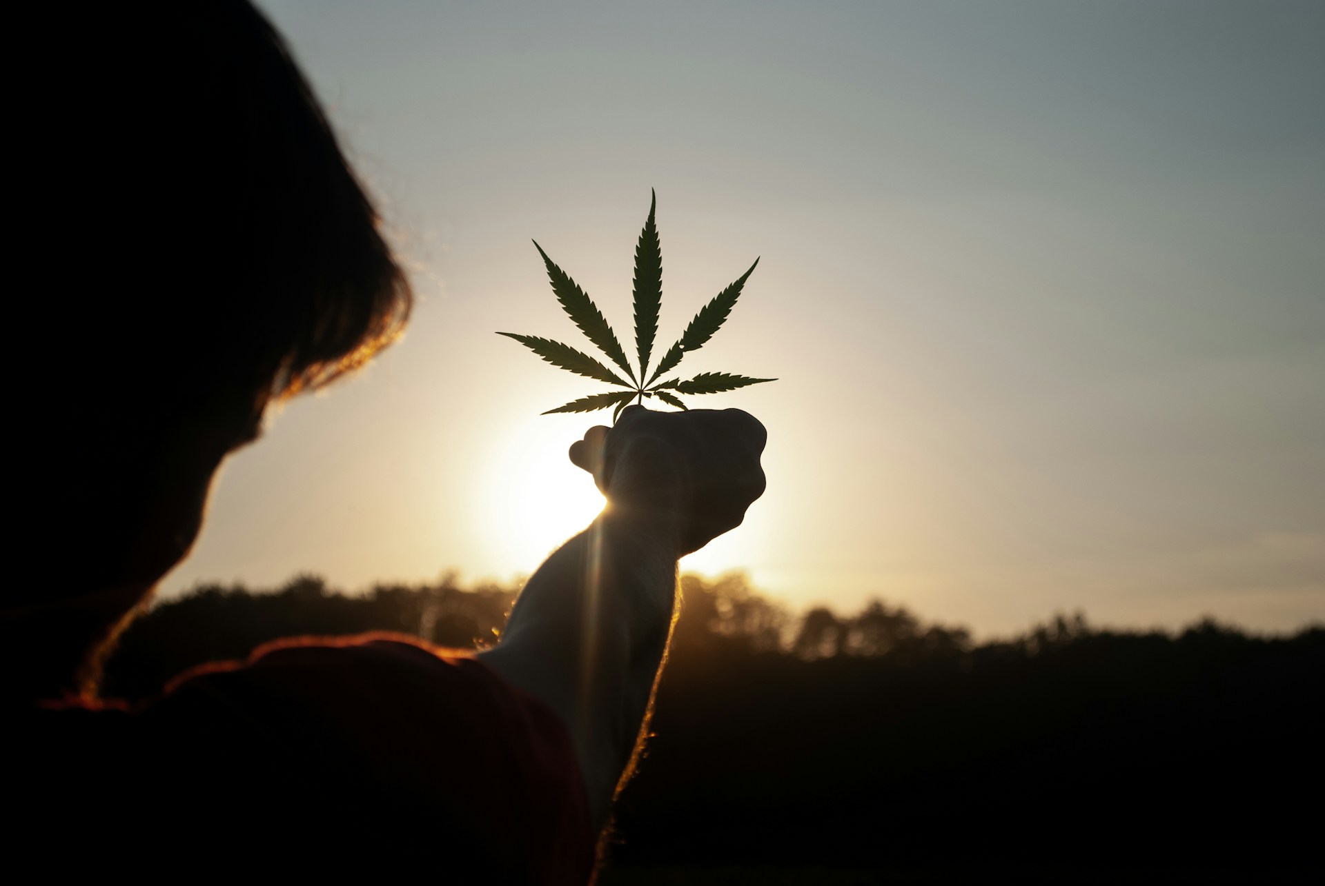 The Truth About Cannabis: Debunking 5 Persistent Myths