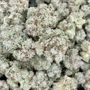 Gorilla Glue