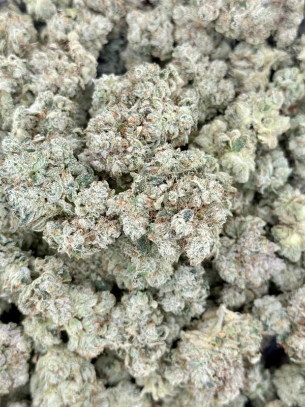 Gorilla Glue