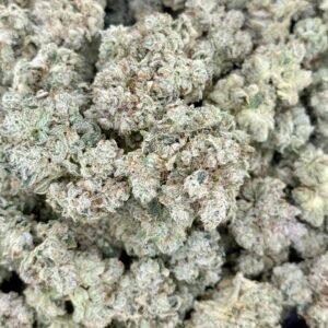 Gorilla Glue