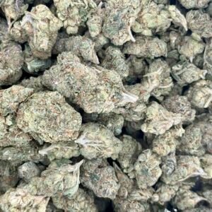 Bubble Gum Gushers 1oz