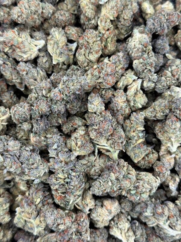 Gelatti 1oz Special