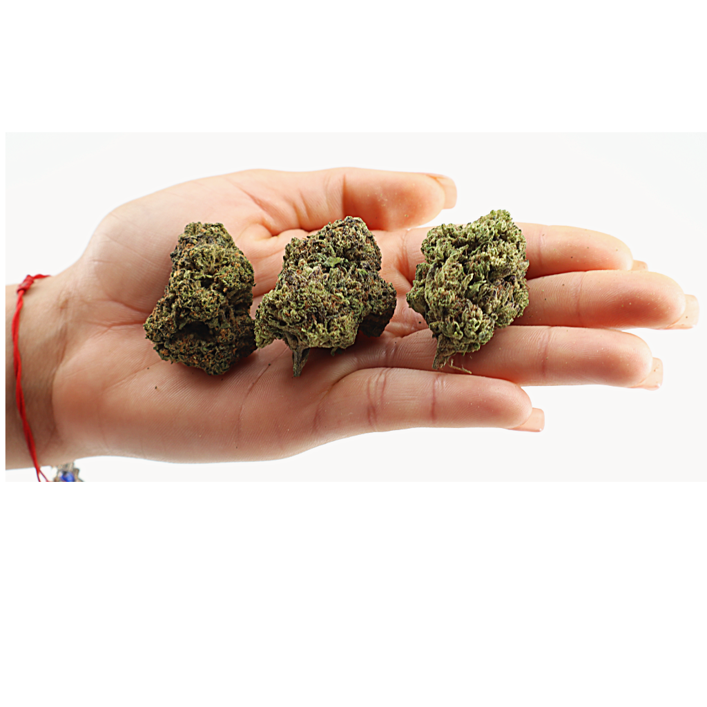 Marilyn Monroe - Image 3