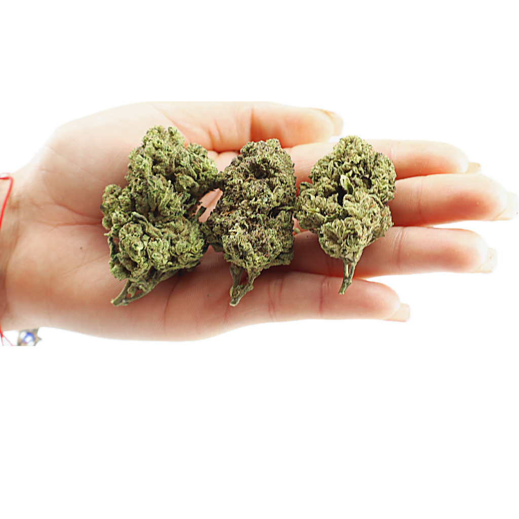 Strawberry Gelato - Image 3