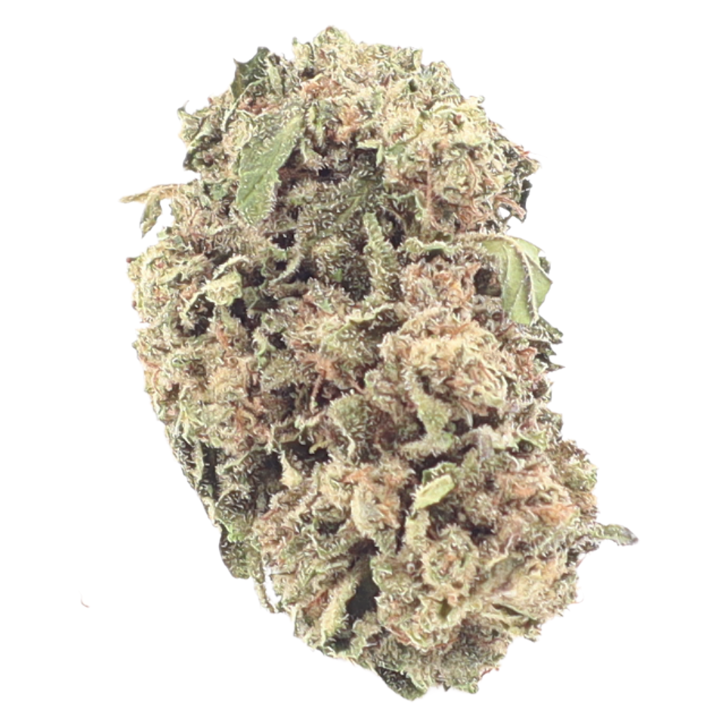 Gelato – 1 ounce SPECIAL!