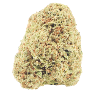 24k Nug 24K