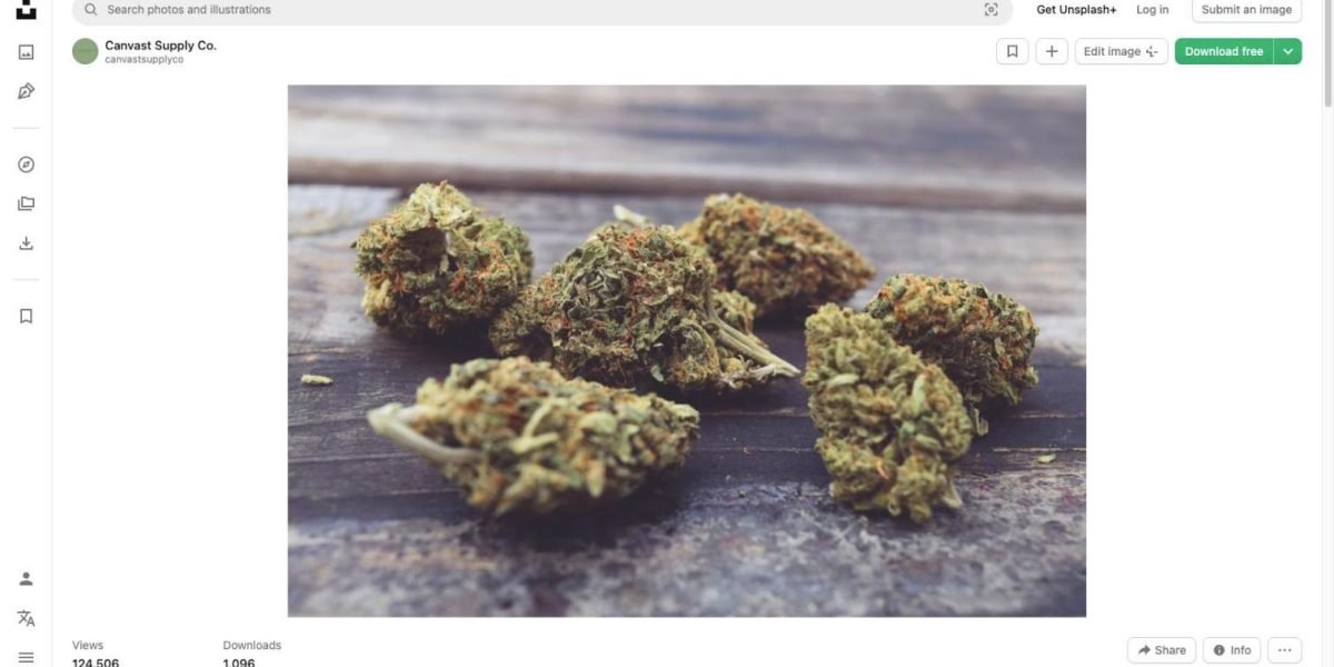 cbd-vs-thc-cannabis-buds