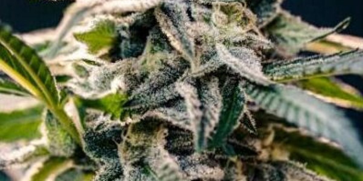 indica-sativa-hybrid-cannabis