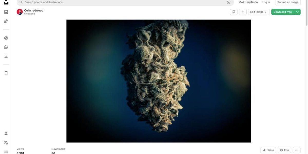 live-rosin-cannabis-trichomes