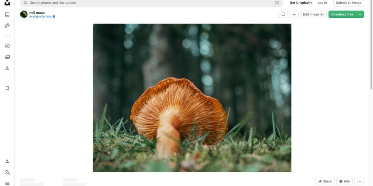 magic-mushrooms-dosing-guide