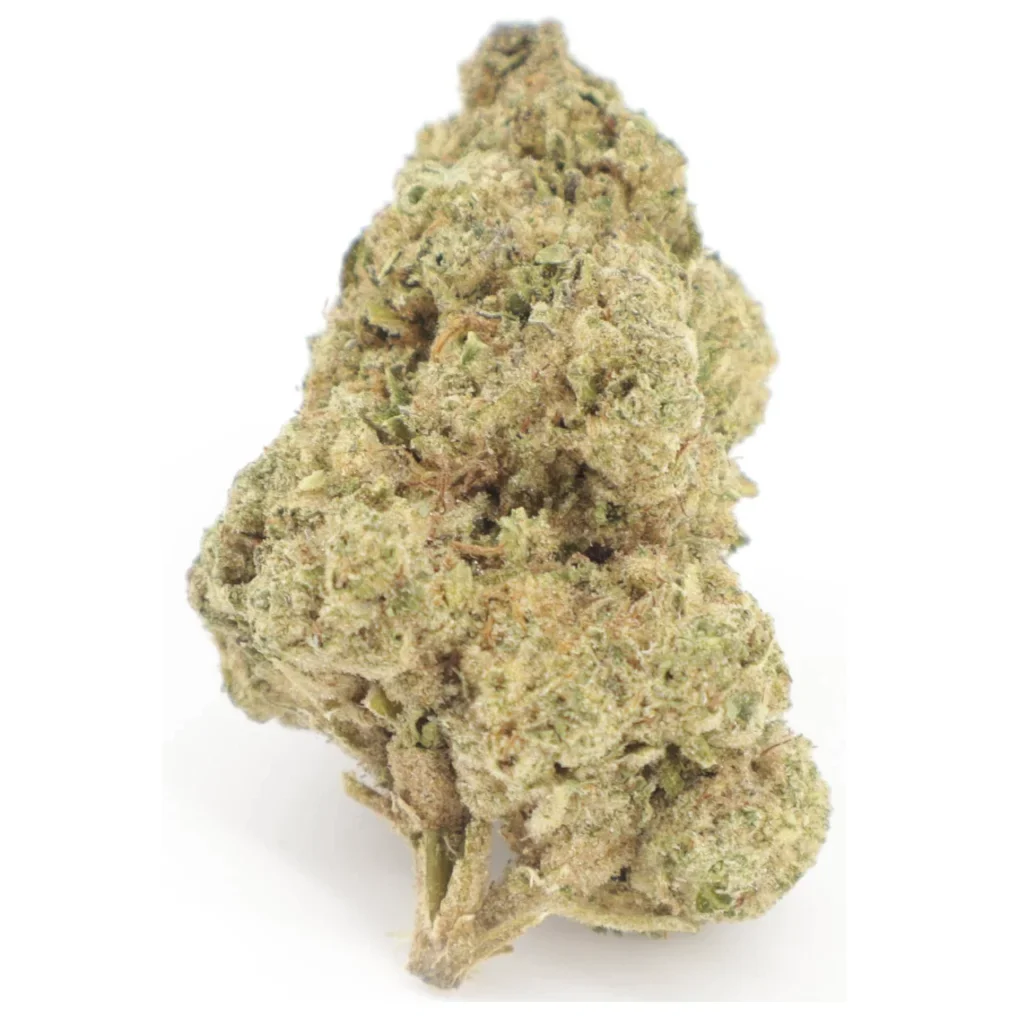 mule-nug