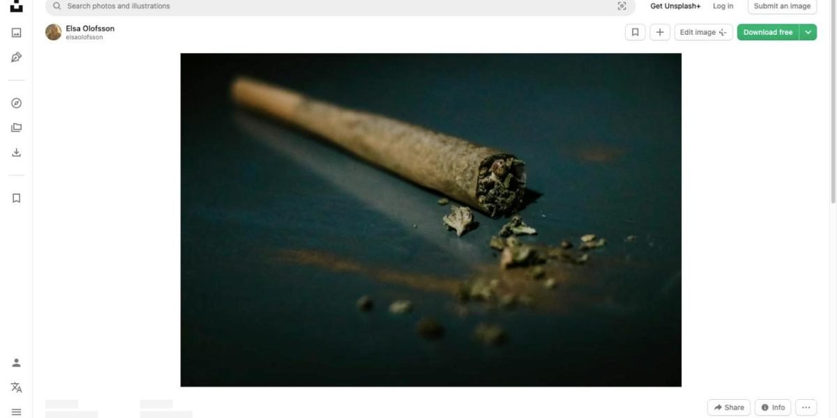 psilocybin-mushrooms